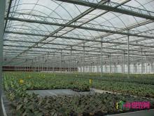 成套温室